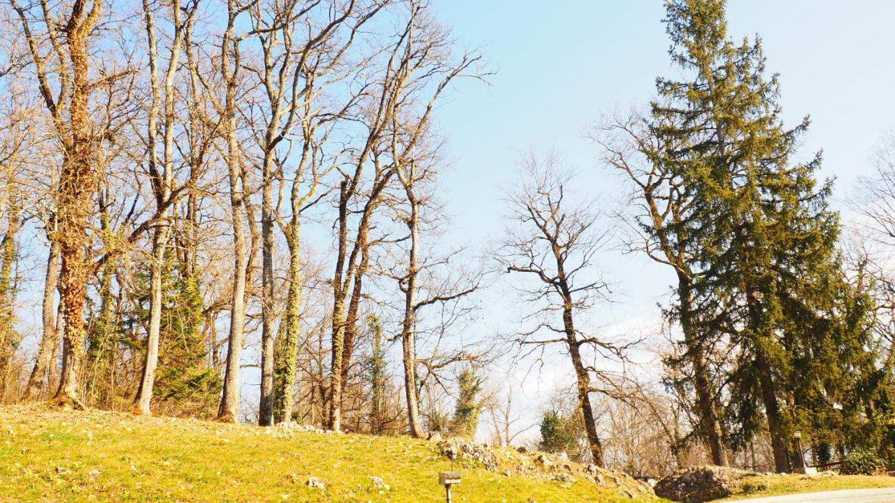 La Garenne De Morestel المظهر الخارجي الصورة